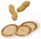 The Viaskin® peanut patch